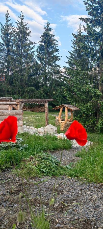 Mlyn Tatry Διαμέρισμα Veľký Slavkov Εξωτερικό φωτογραφία