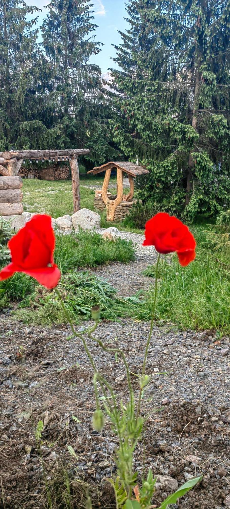 Mlyn Tatry Διαμέρισμα Veľký Slavkov Δωμάτιο φωτογραφία
